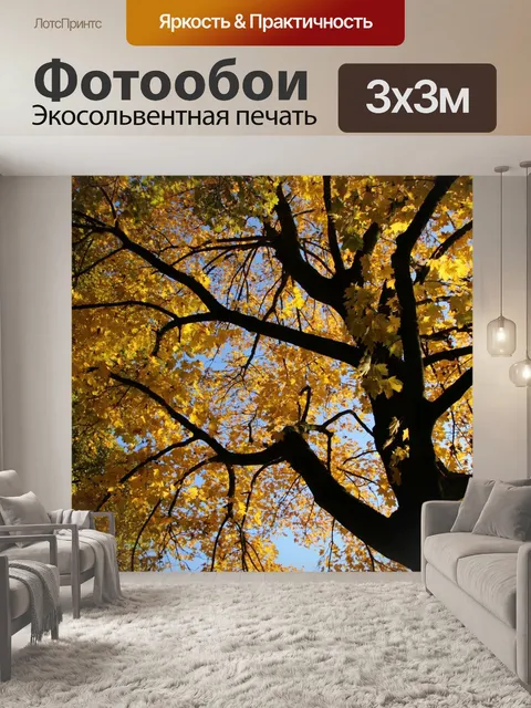 Фотообои Падение