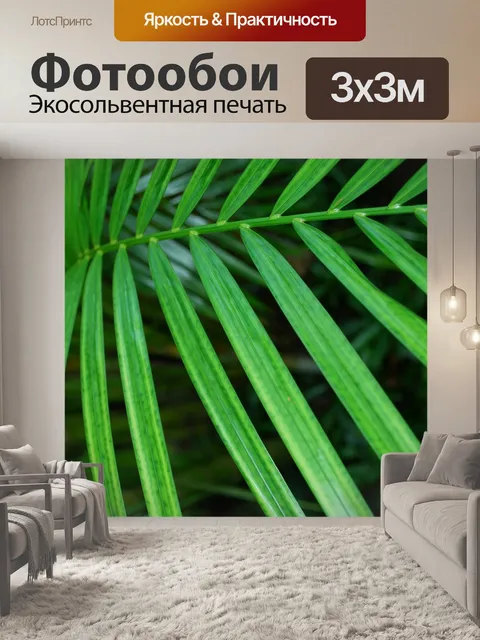 Фотообои Папоротник