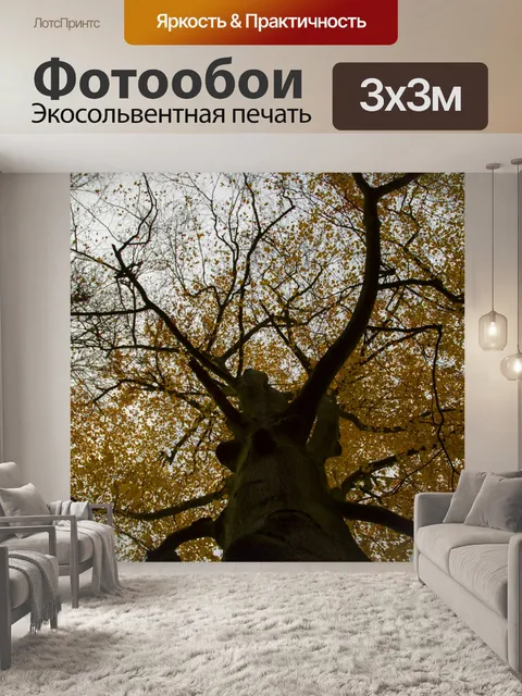 Фотообои Осеннее Дерево