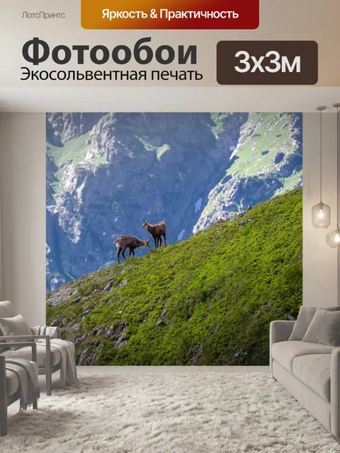 Фотообои Татры
