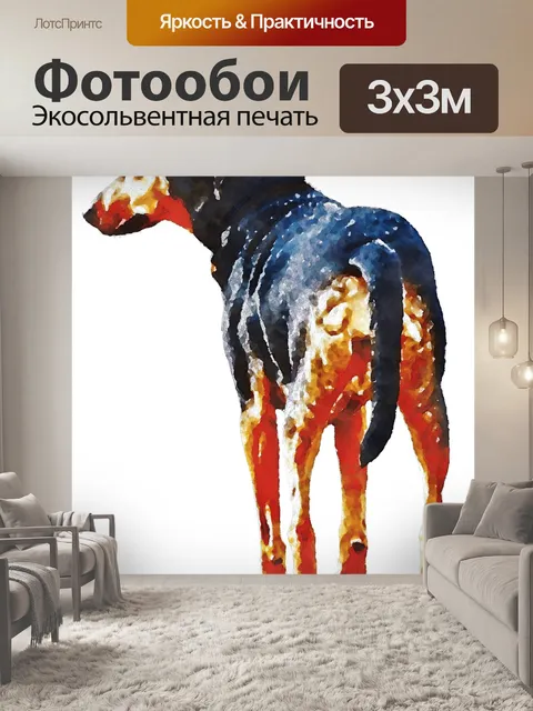 Фотообои Собака