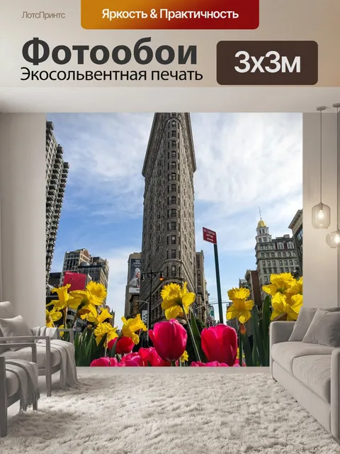 Фотообои Утюг
