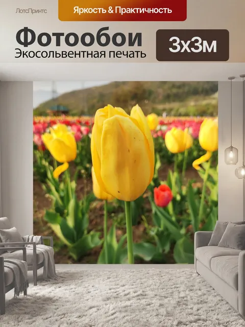 Фотообои Цветы