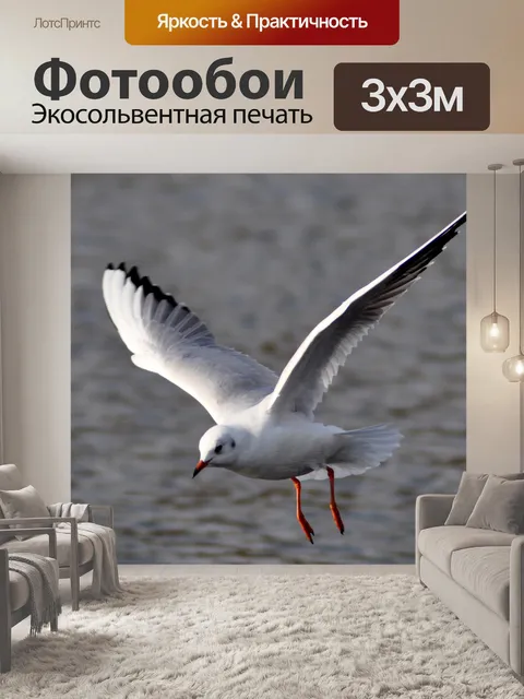 Фотообои Птица