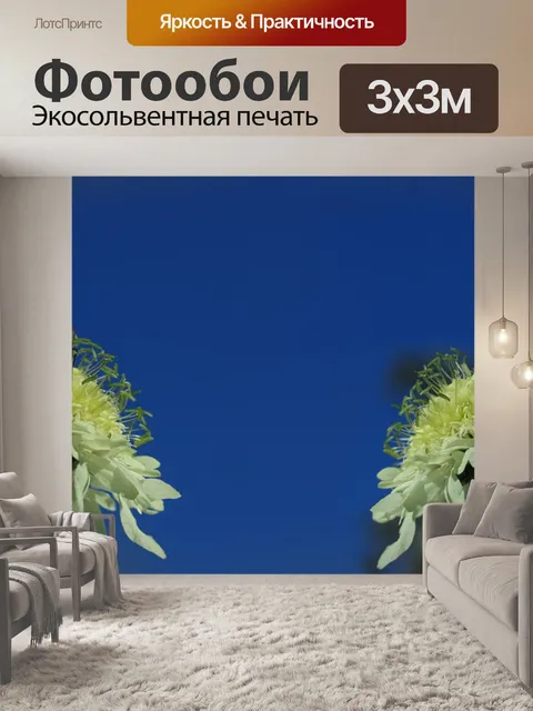 Фотообои Насекомые