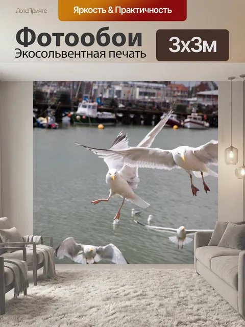 Фотообои Чайки в море