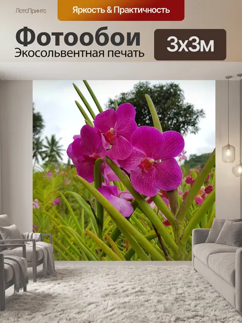 Фотообои Сады