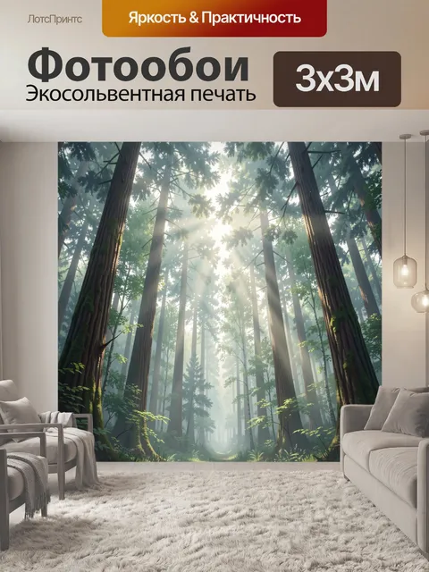 Фотообои Солнечный лес с высокими деревьями