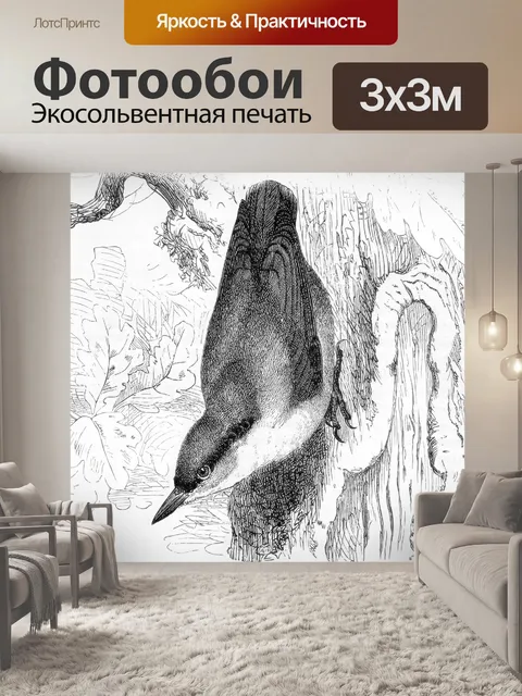 Фотообои Поползень