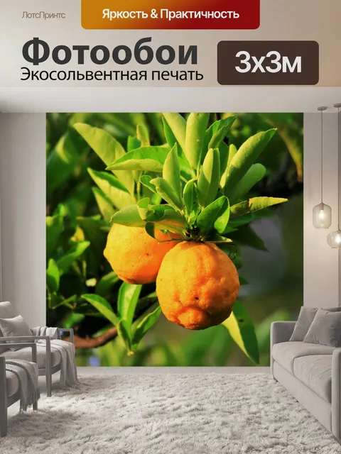 Фотообои богатые желтые лимоны