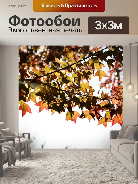 Фотообои Город