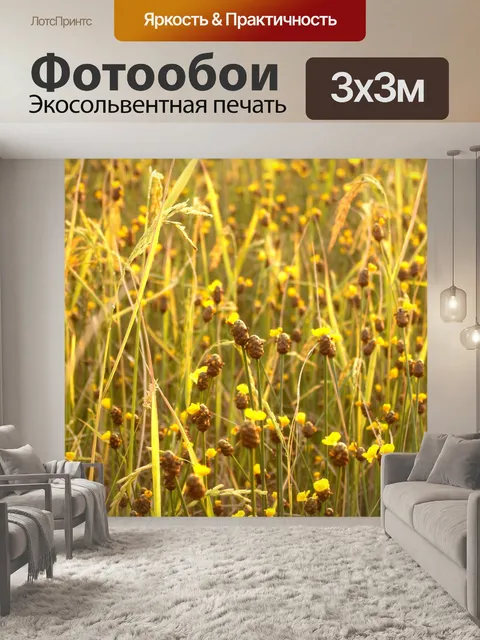 Фотообои Цветки одичалые Стоковая Фотография