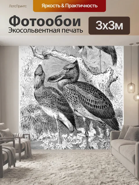 Фотообои Клювовый аист
