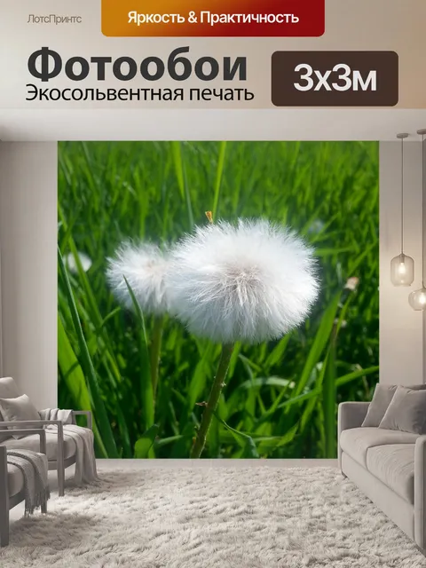 Фотообои Пушистые одуванчики