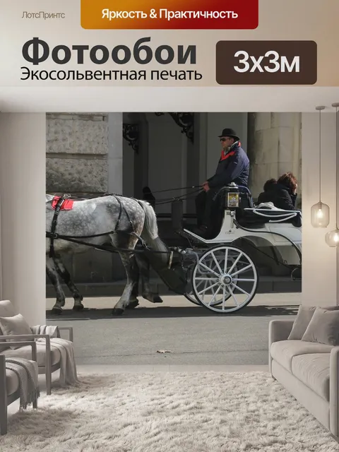 Фотообои Вена