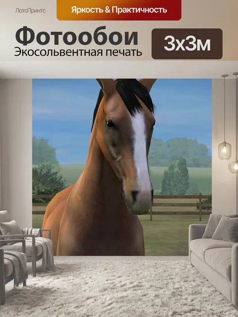 Фотообои Лошадь крупным планом
