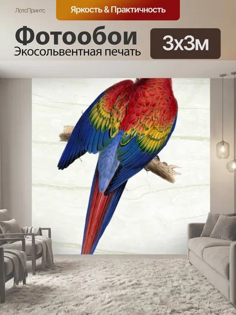 Фотообои Попугай