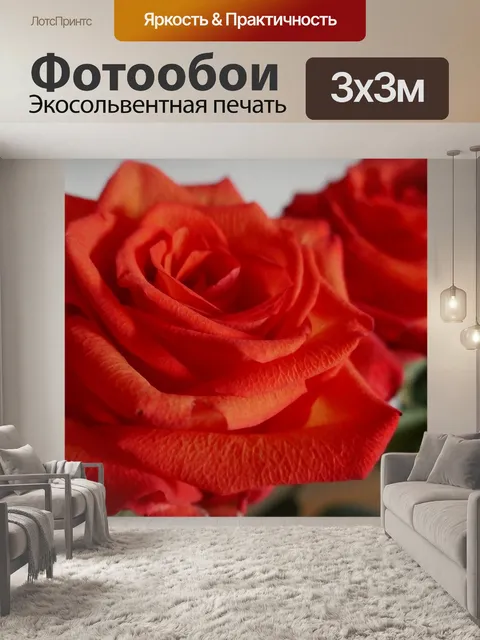 Фотообои Розы