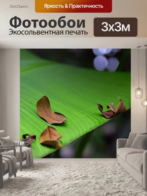 Фотообои Зеленый