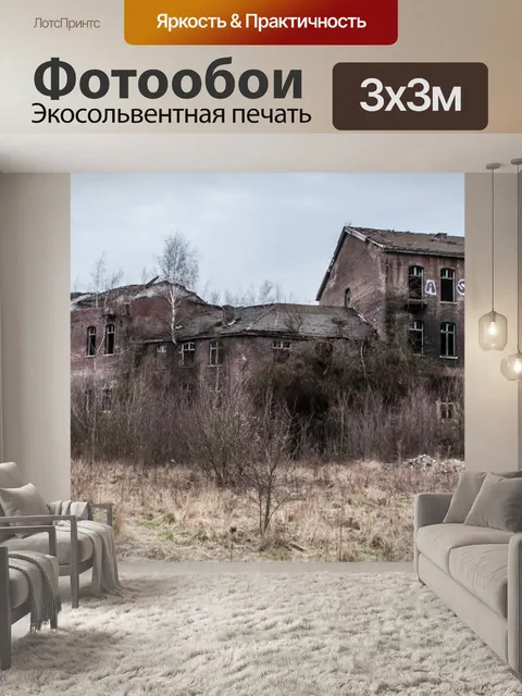 Фотообои потерял