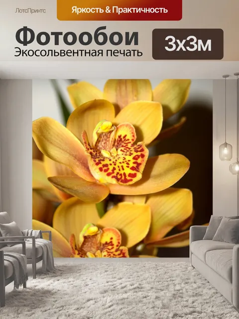 Фотообои Фото цветка орхидеи