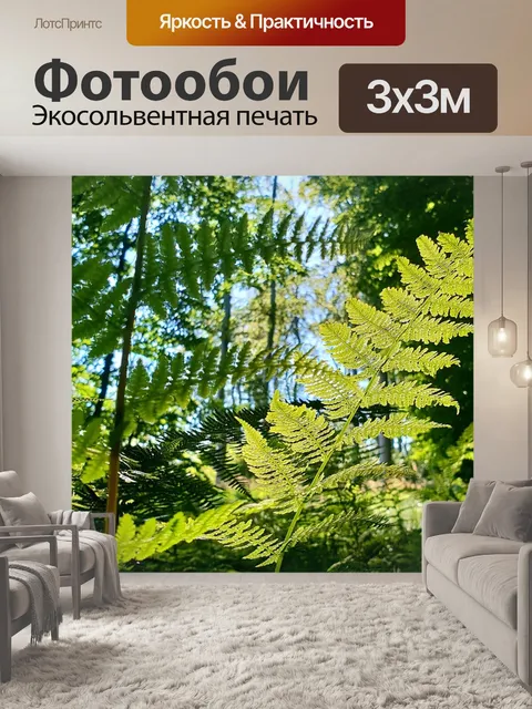 Фотообои Папоротник