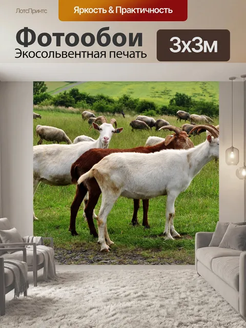 Фотообои Козы