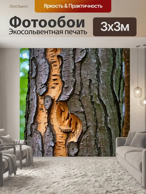 Фотообои текстура коры дерева с выдолбленными образцами