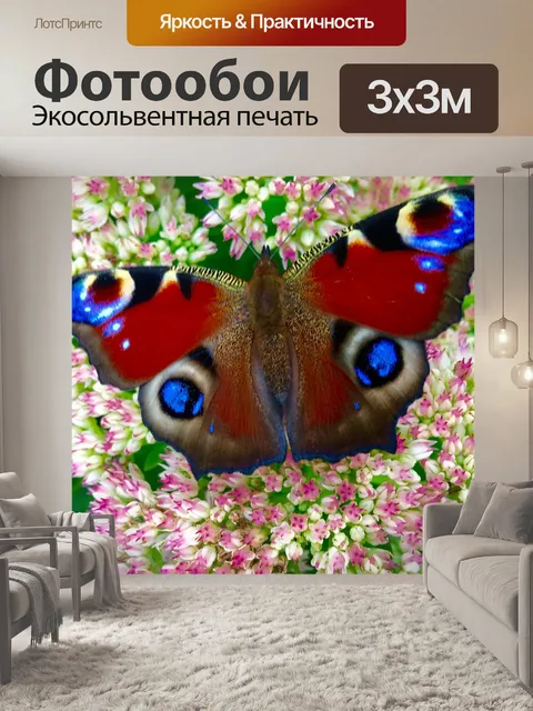 Фотообои Бабочка