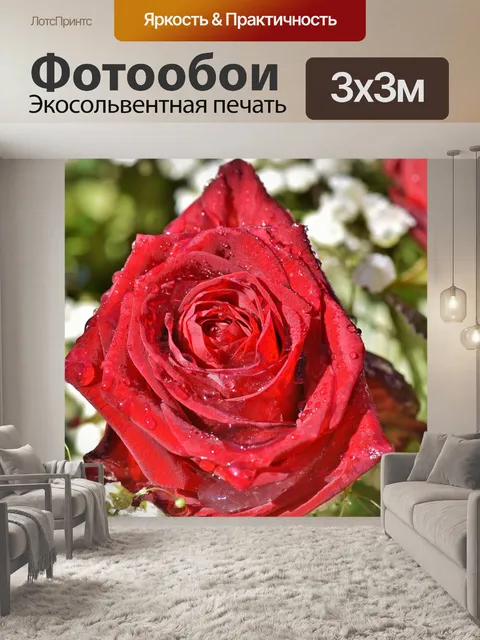 Фотообои Роза