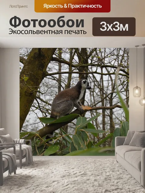 Фотообои Маки