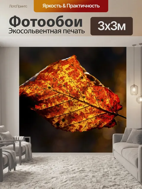 Фотообои Осень