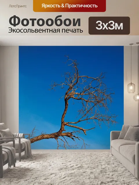 Фотообои Мертвое дерево, силуэт дерева