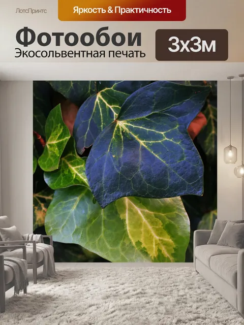 Фотообои листья плюща в зелени