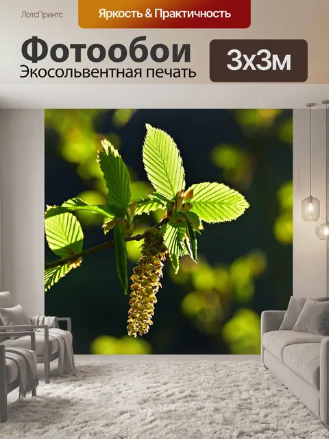 Фотообои Весна