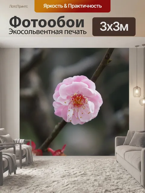 Фотообои Розовый