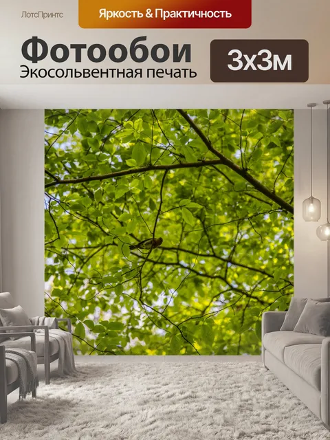 Фотообои Зеленые листья