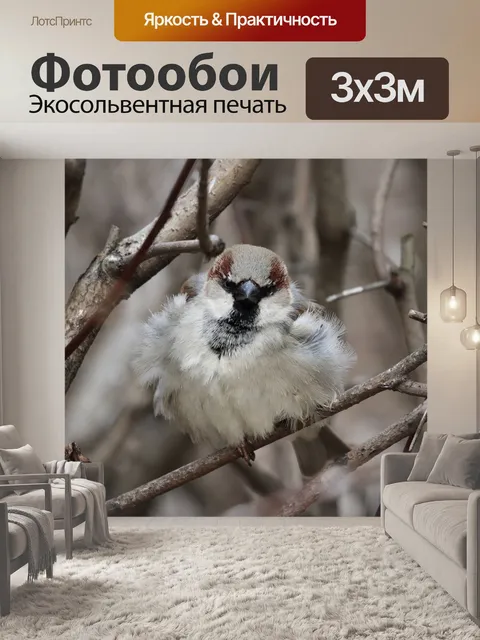 Фотообои Воробей