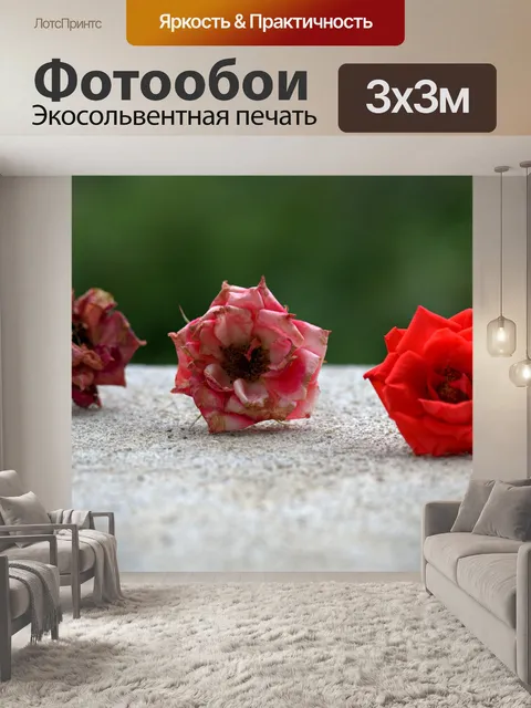 Фотообои Розы