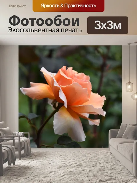 Фотообои Персик