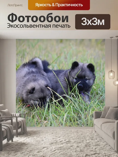Фотообои Собаки
