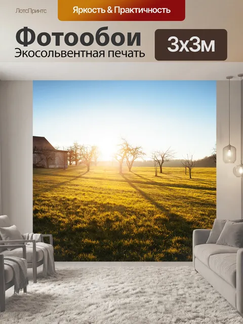Фотообои Закат садового сада