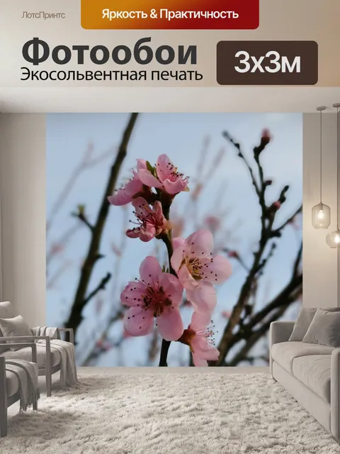 Фотообои Цветы