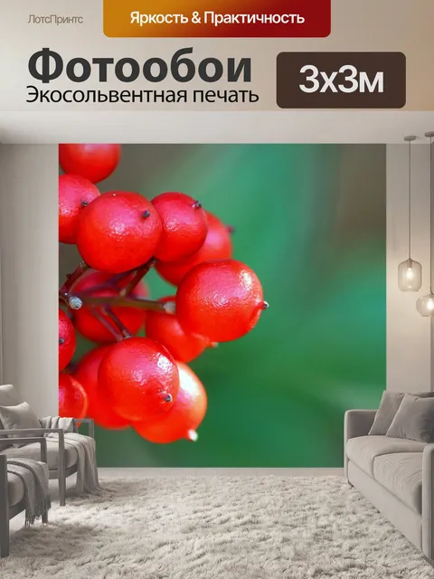 Фотообои Ягоды