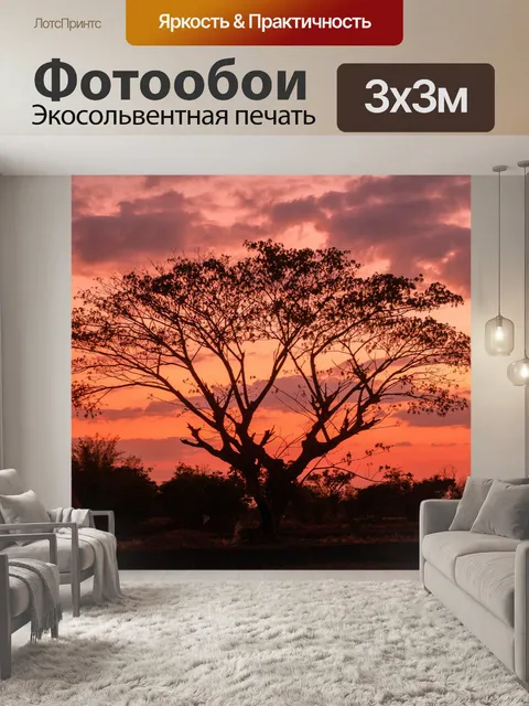 Фотообои дерево на закате