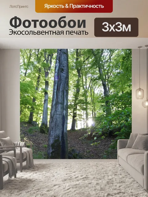 Фотообои Лес