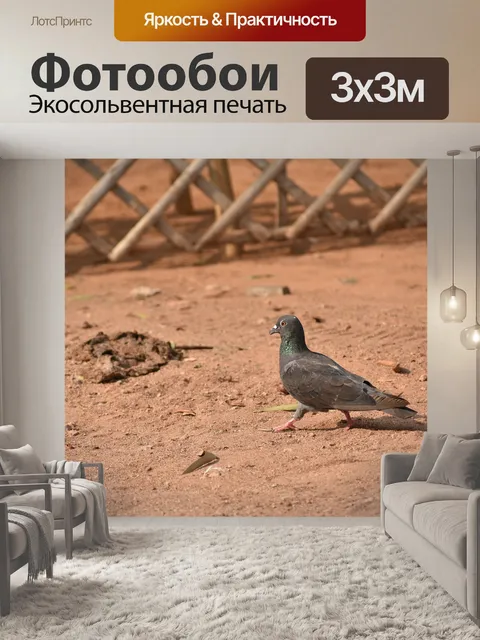 Фотообои Животные