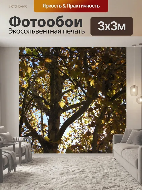 Фотообои Падение дерева