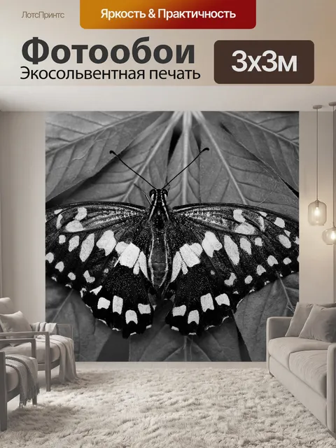 Фотообои Бабочка