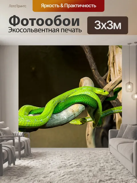 Фотообои Линия